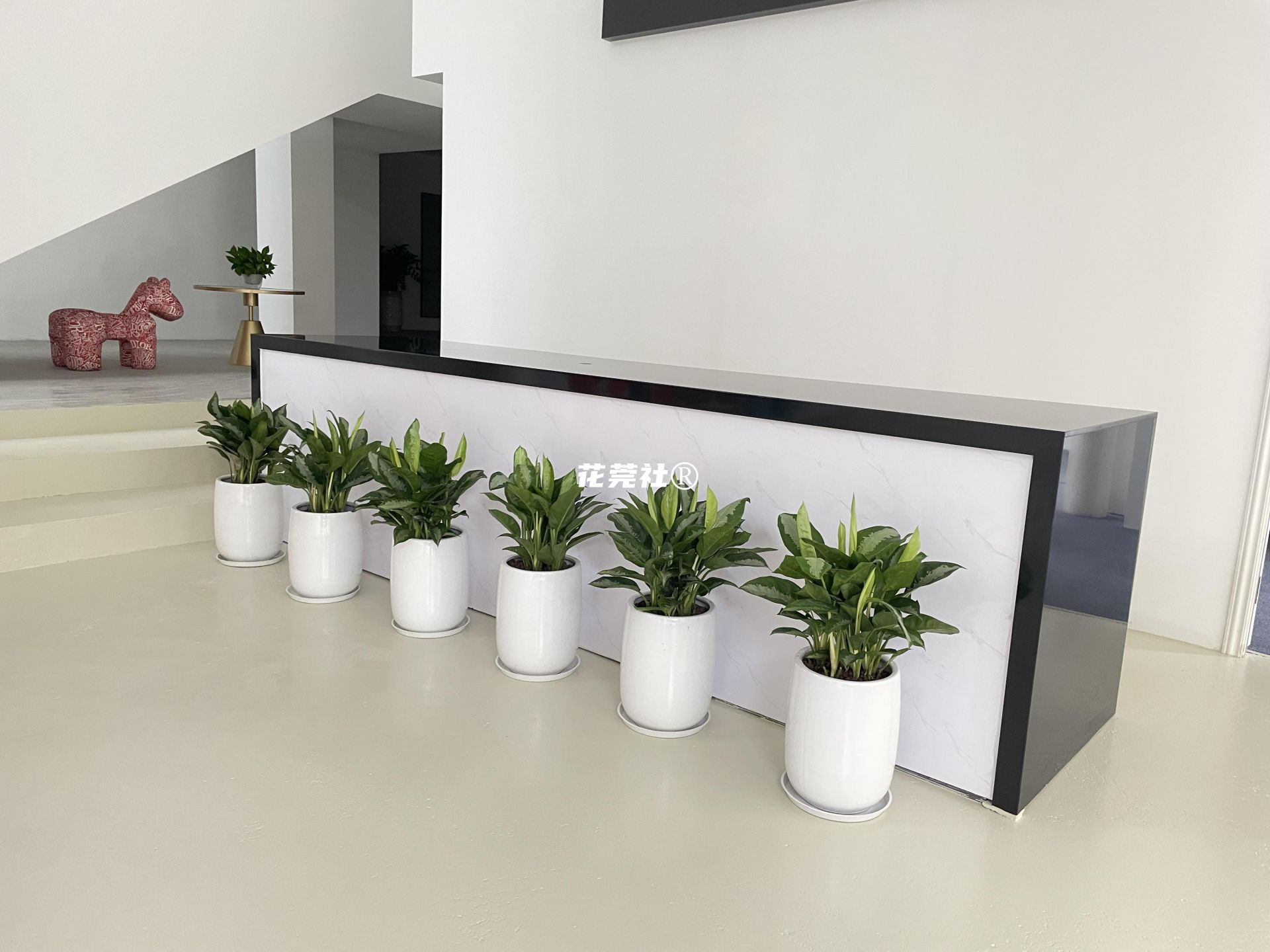 $data['plant_title']