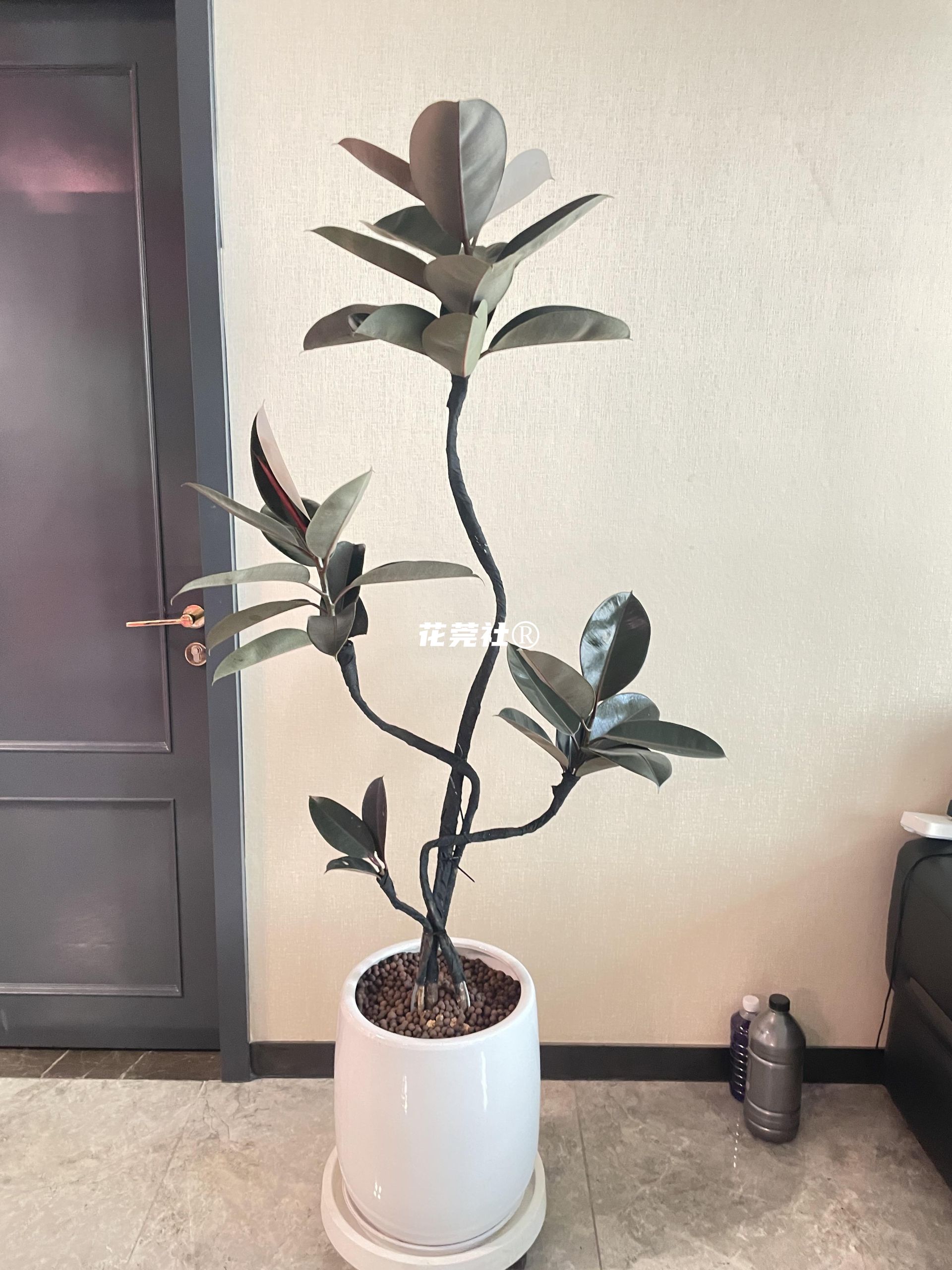 joseph-img
